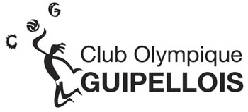 logo cog volley
